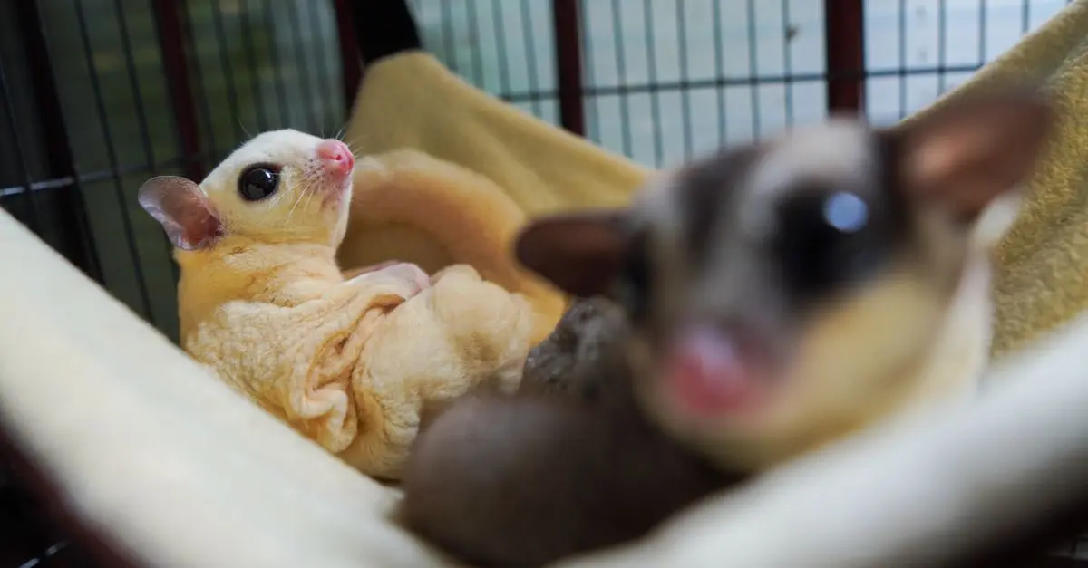 Essential Exotic Pet Care Guide
