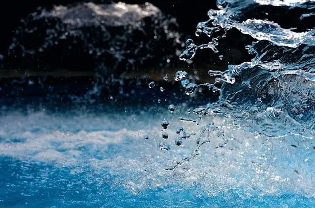 Top-Rated Pet Water Fountains: A Comprehensive Buying Guide