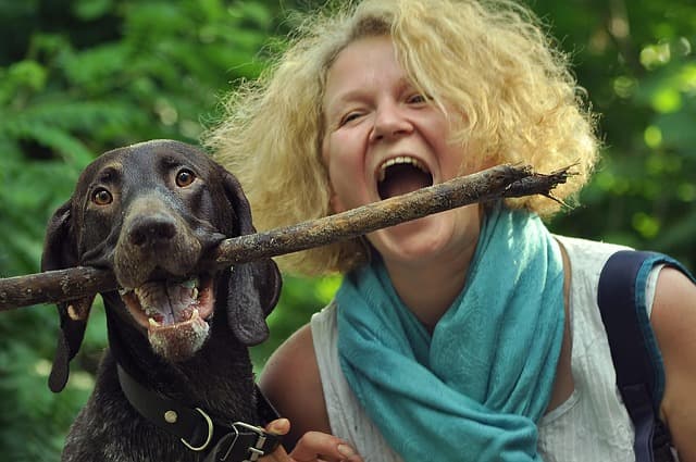 Understanding Pet Behaviour: A Comprehensive Guide
